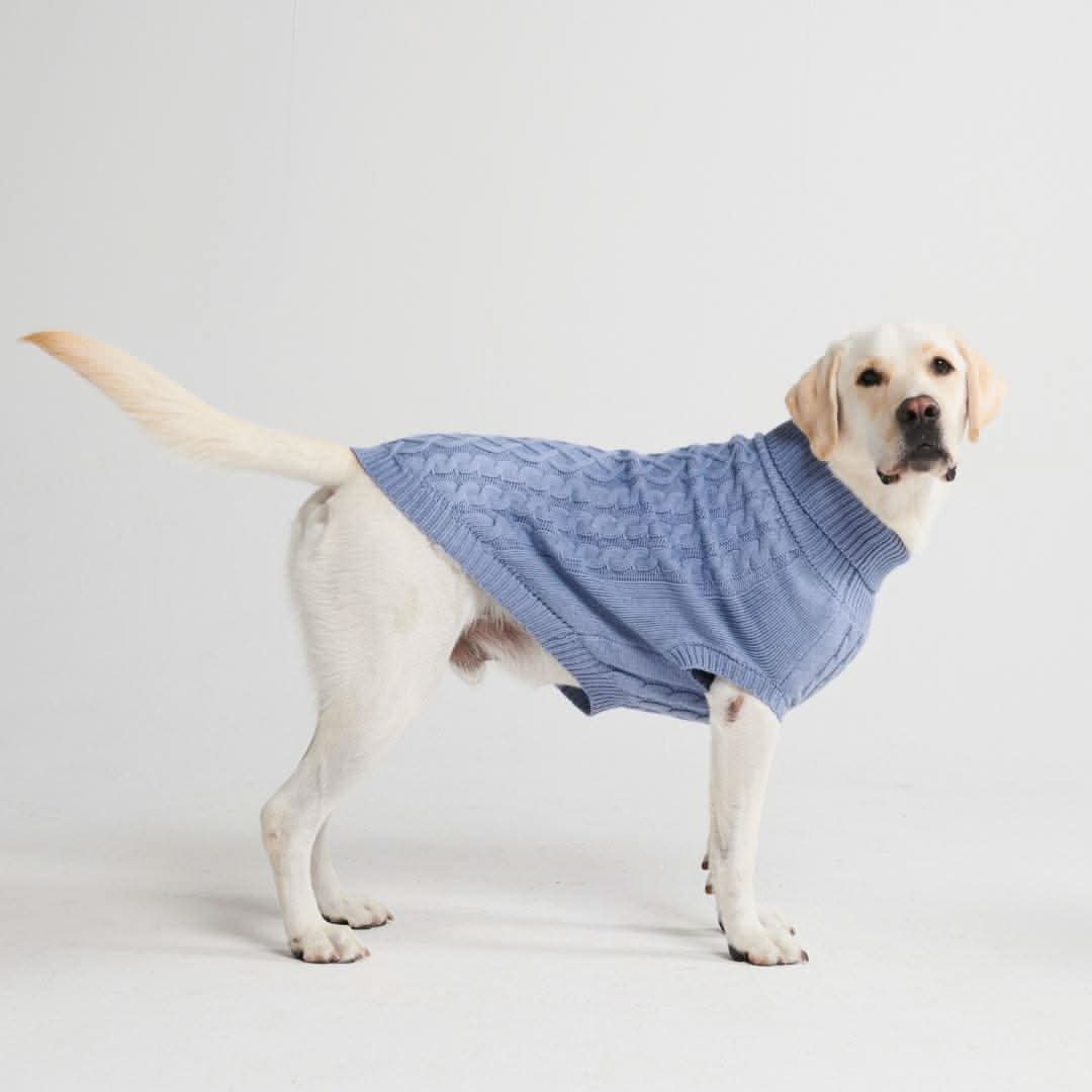 Cable Knit Dog Sweater - Blue - Image 4