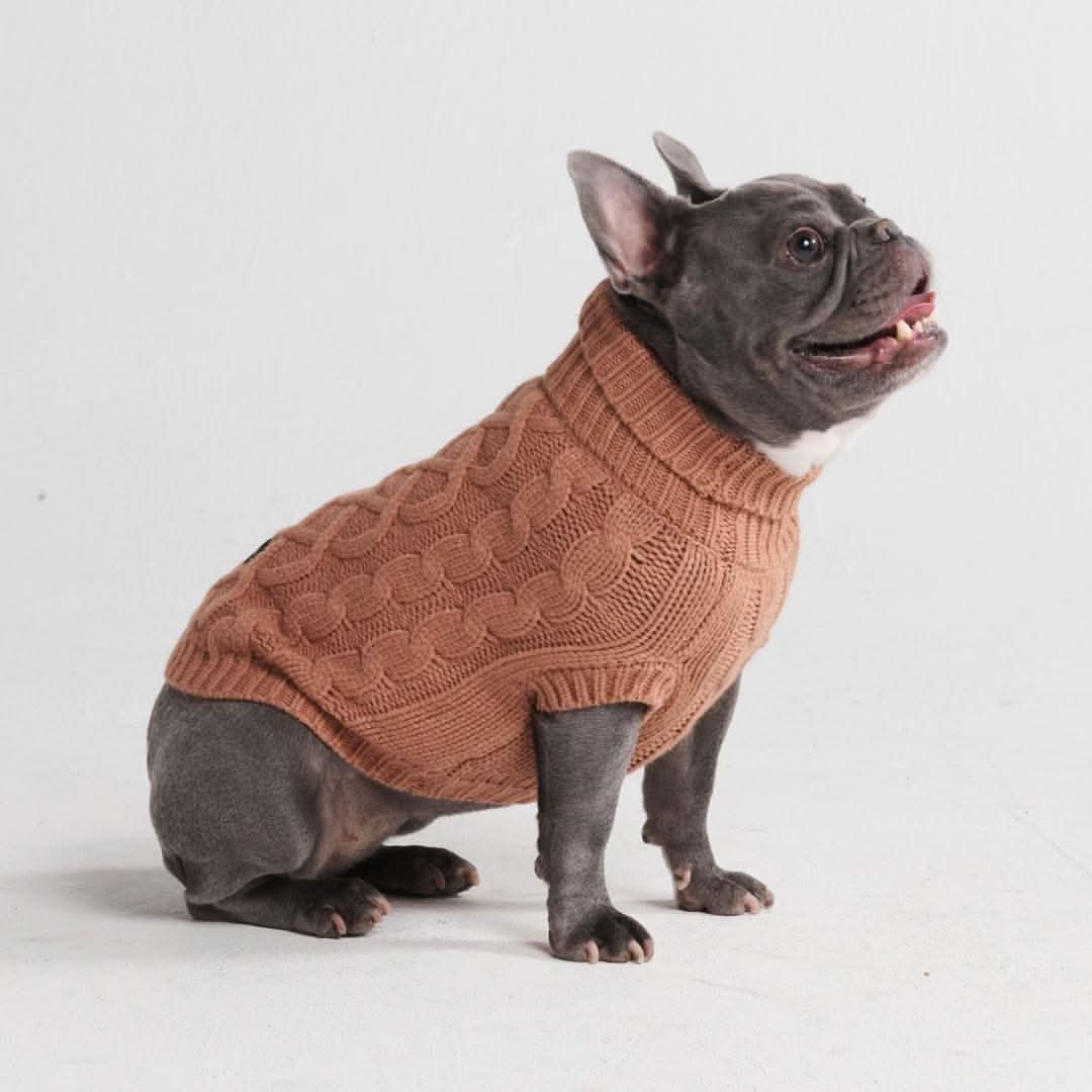 Cable Knit Dog Sweater - Brown - Image 4