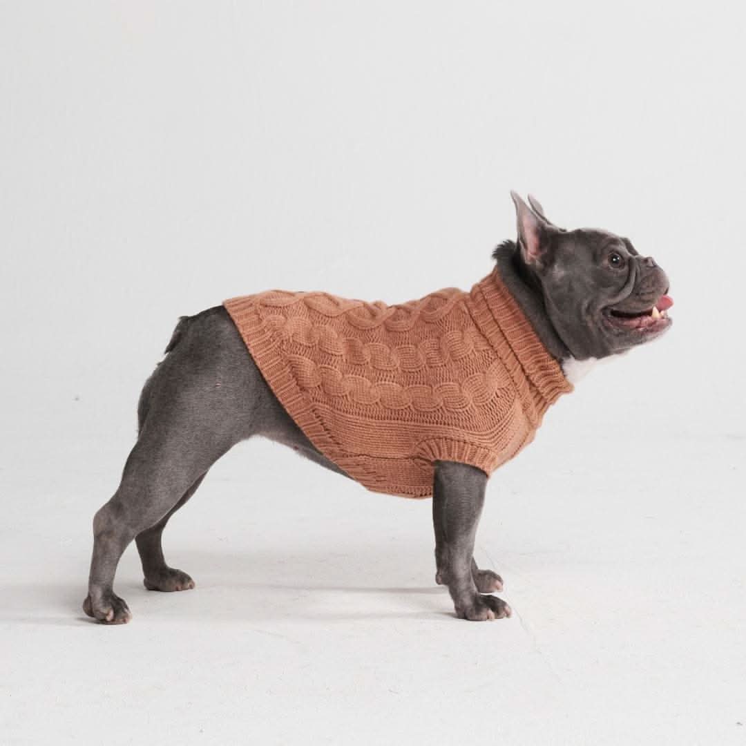 Cable Knit Dog Sweater - Brown - Image 6
