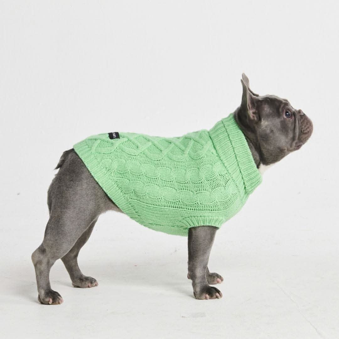 Cable Knit Dog Sweater - Mint Green - Image 3