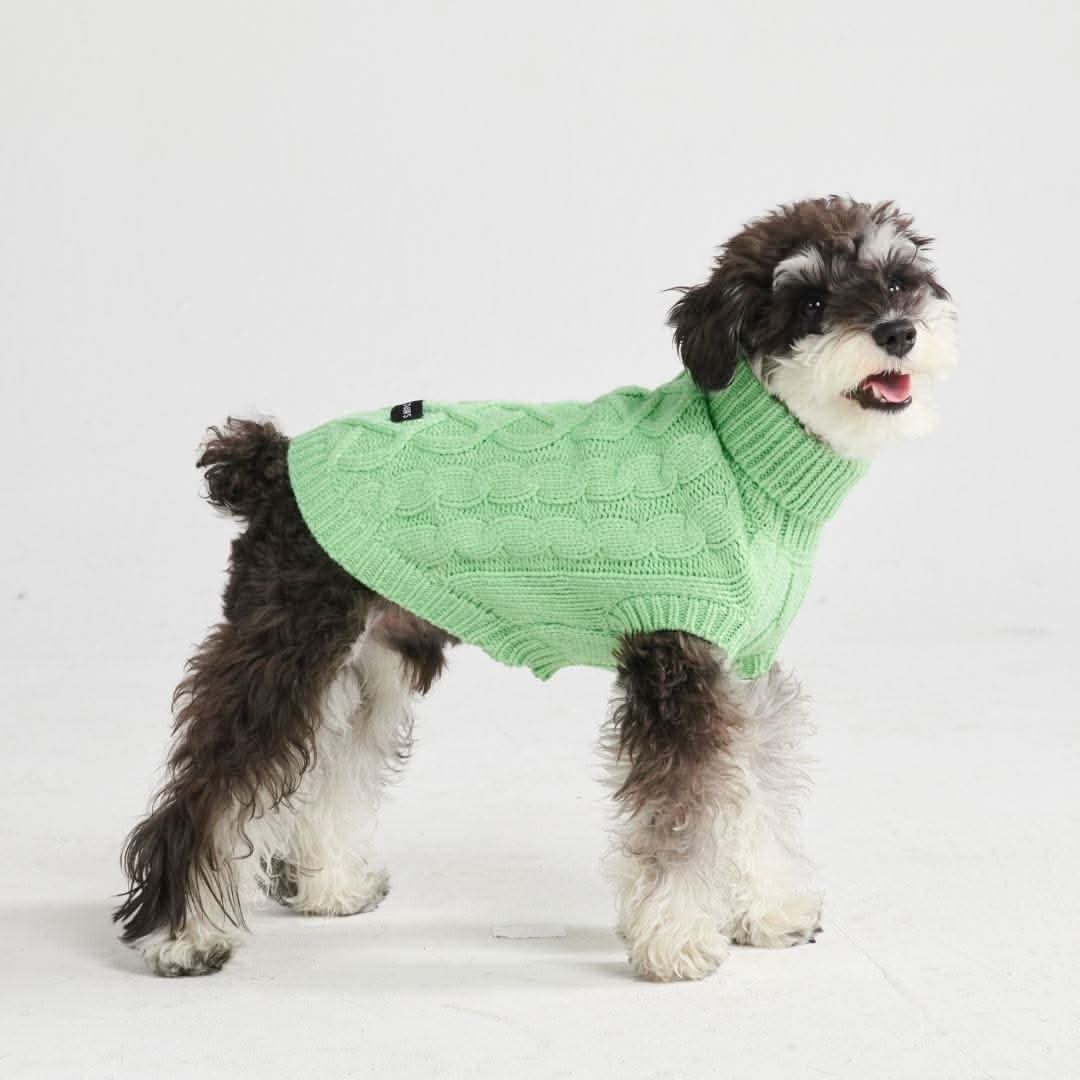 Cable Knit Dog Sweater - Mint Green - Image 5