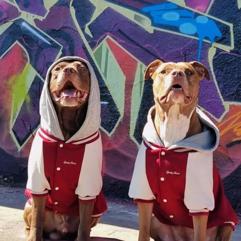 Dog Varsity Jacket - Red - Image 11