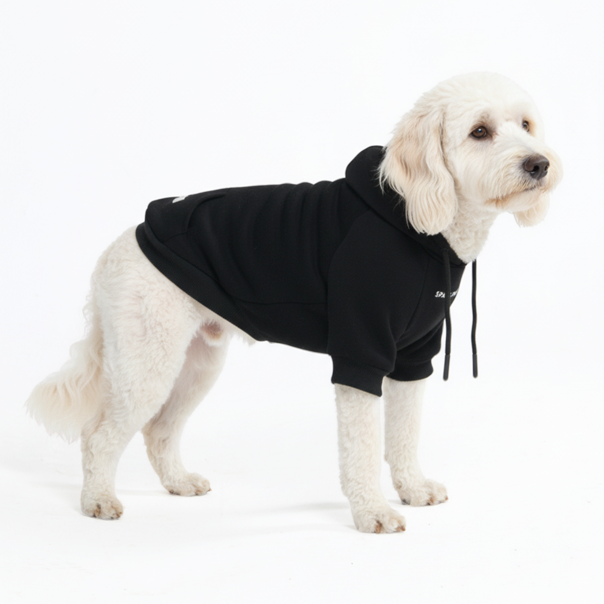 Essential Dog Hoodie - Black - Image 6