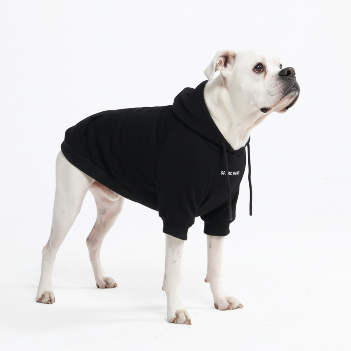 Essential Dog Hoodie - Black - Image 7