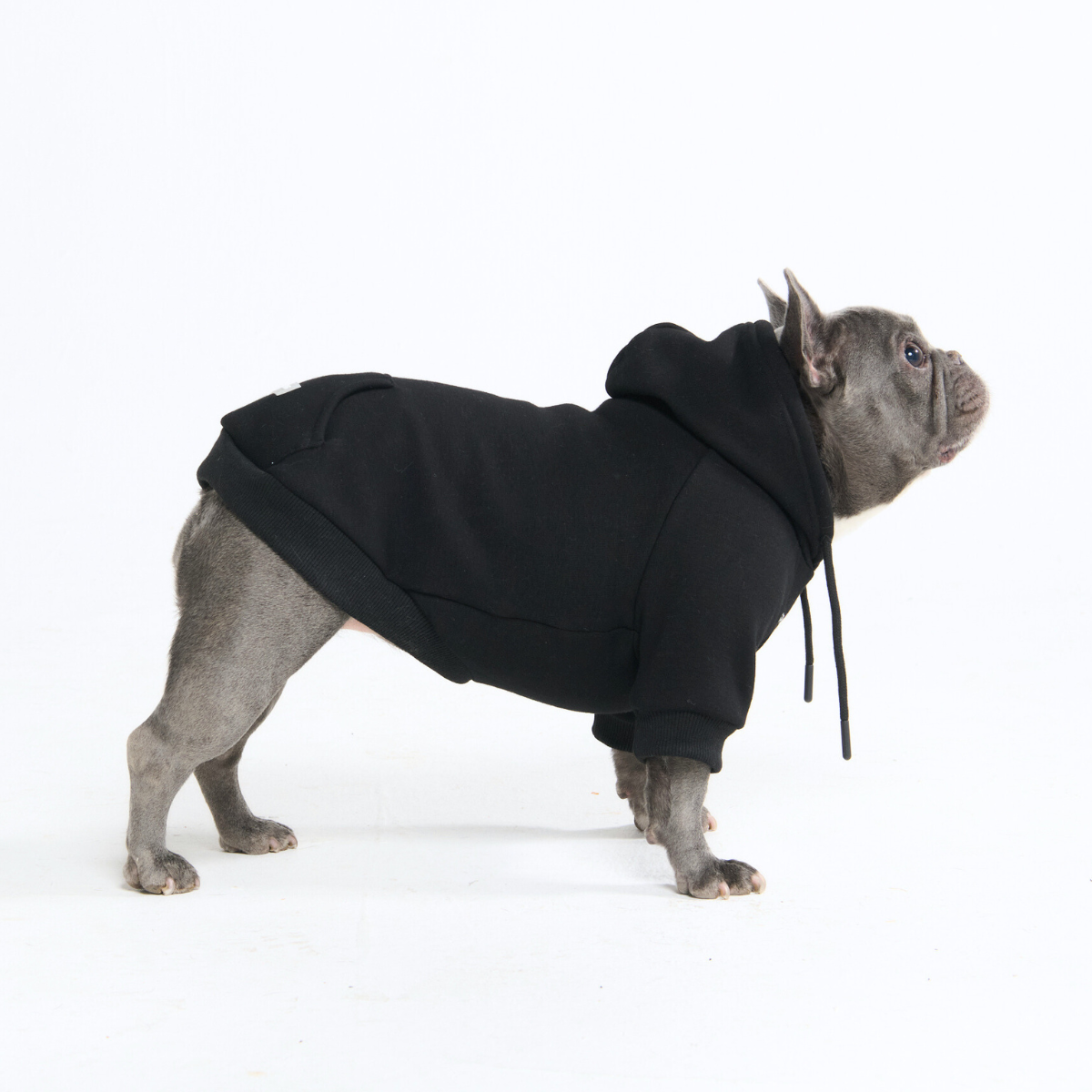 Essential Dog Hoodie - Black - Image 5