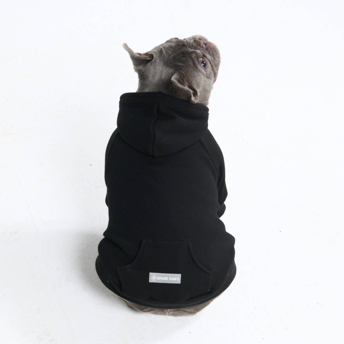 Essential Dog Hoodie - Black - Image 11