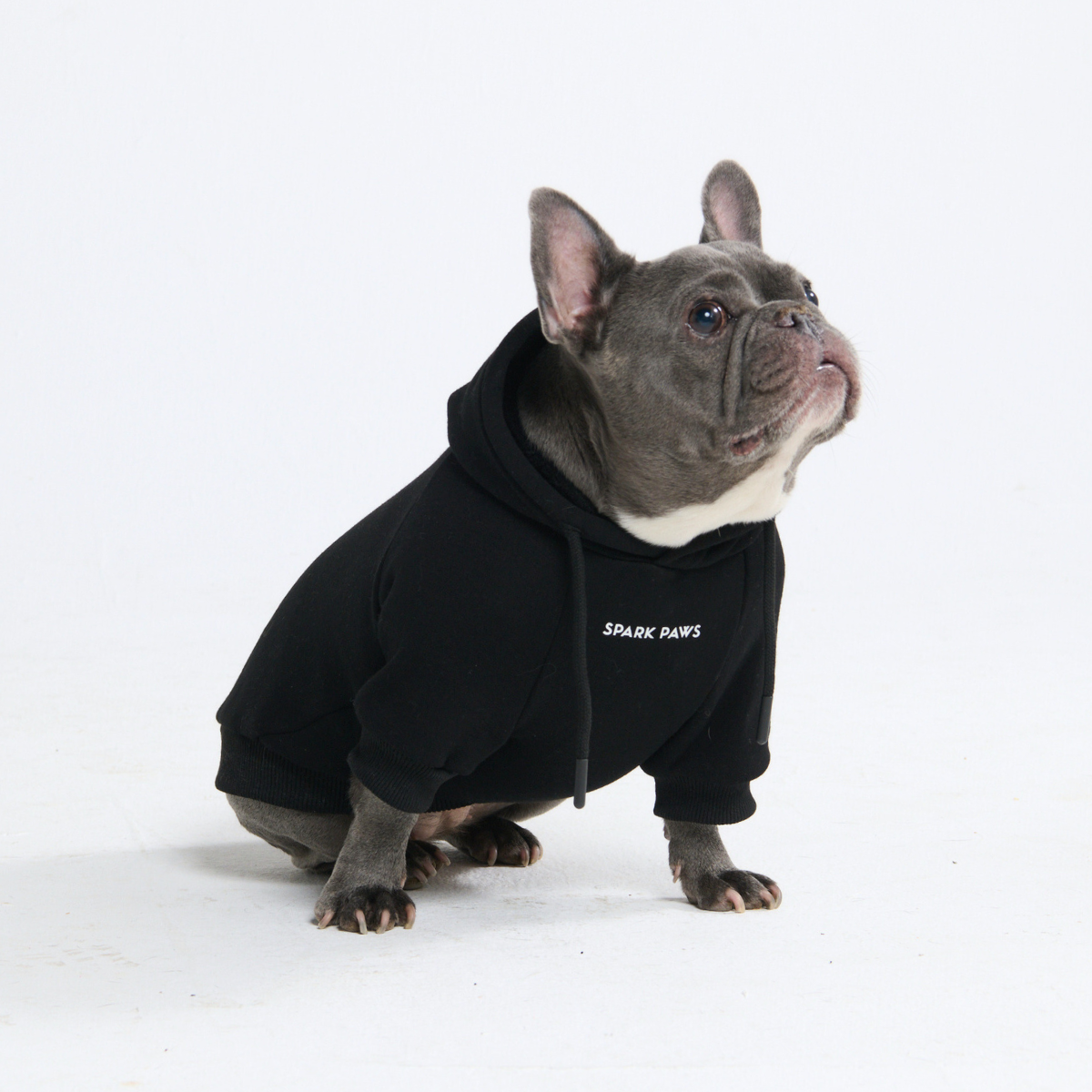 Essential Dog Hoodie - Black - Image 12