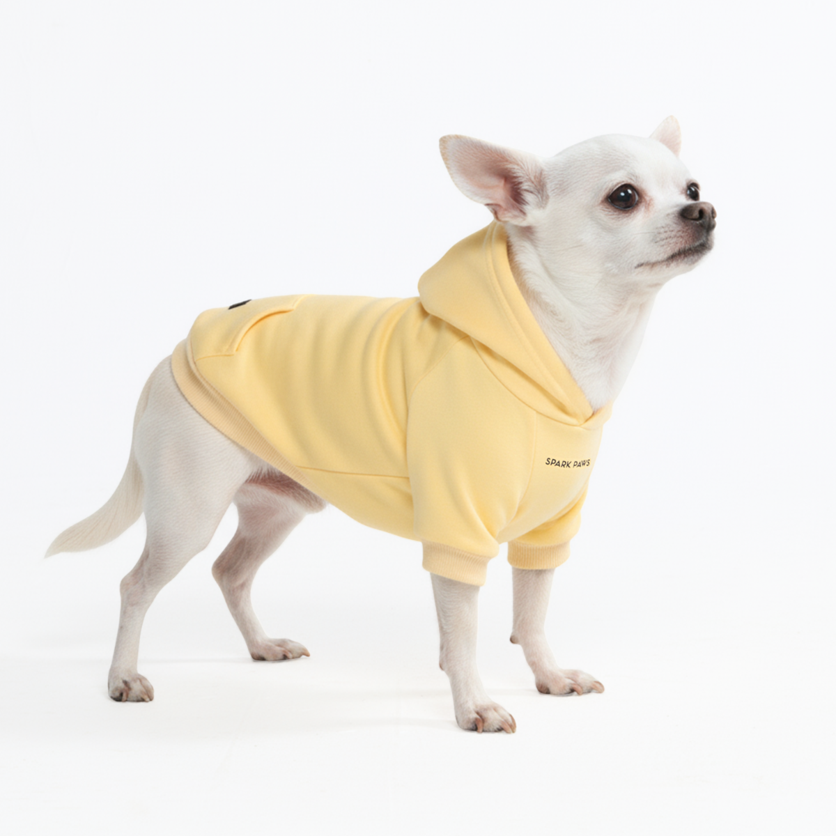 Essential Dog Hoodie - Buttercream - Image 3