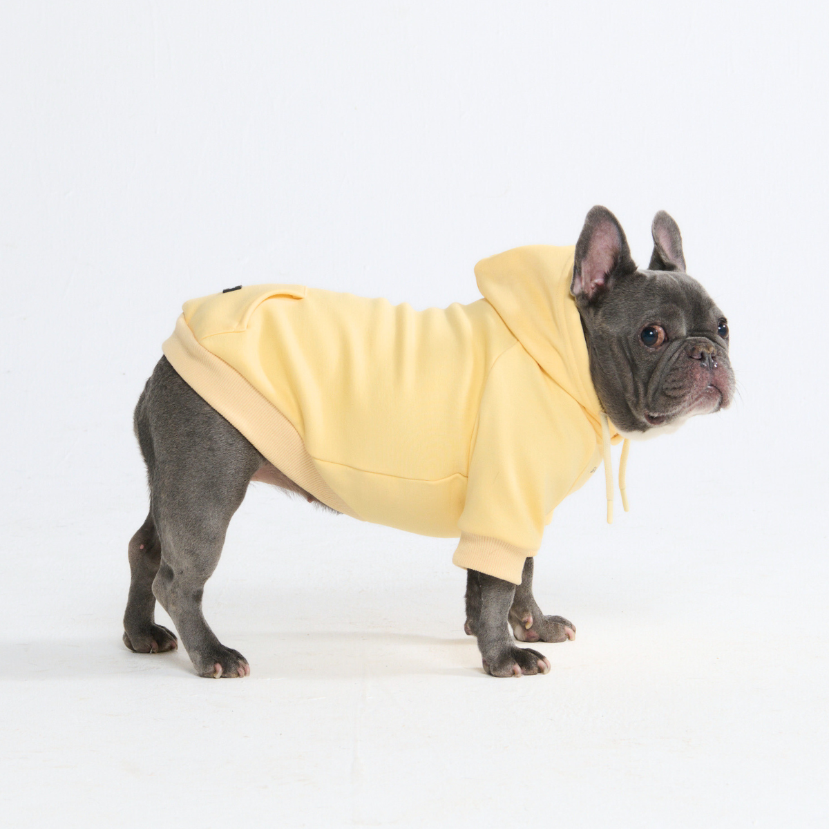 Essential Dog Hoodie - Buttercream - Image 5