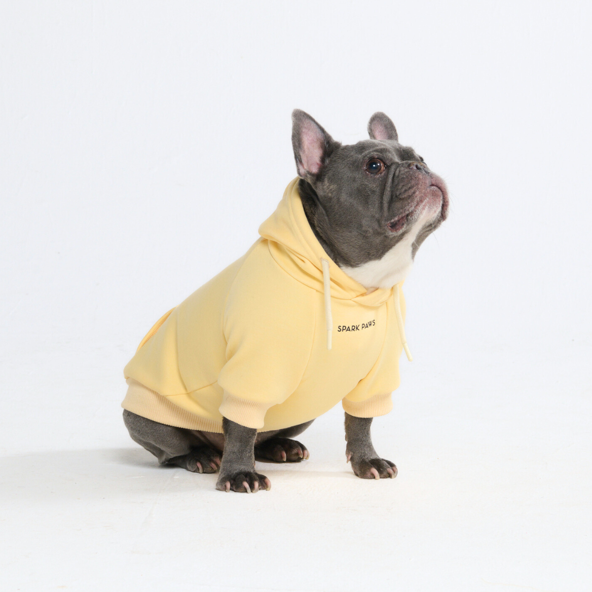 Essential Dog Hoodie - Buttercream - Image 9