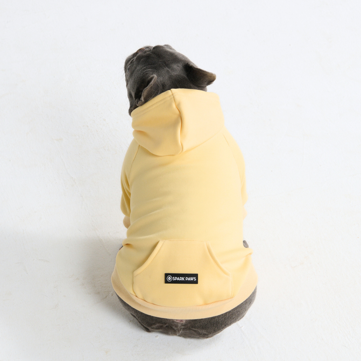 Essential Dog Hoodie - Buttercream - Image 10