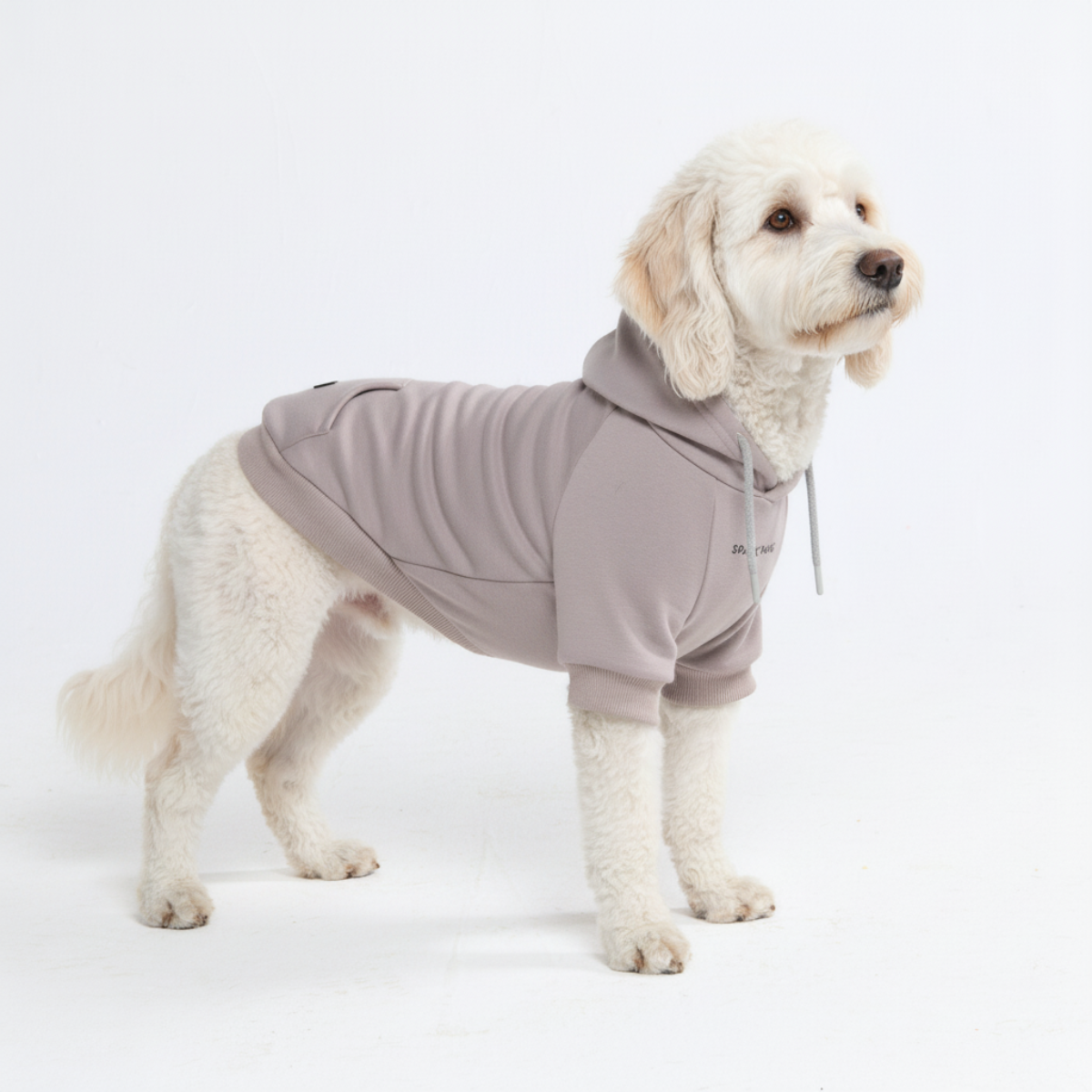 Essential Dog Hoodie - Clay - Image 5
