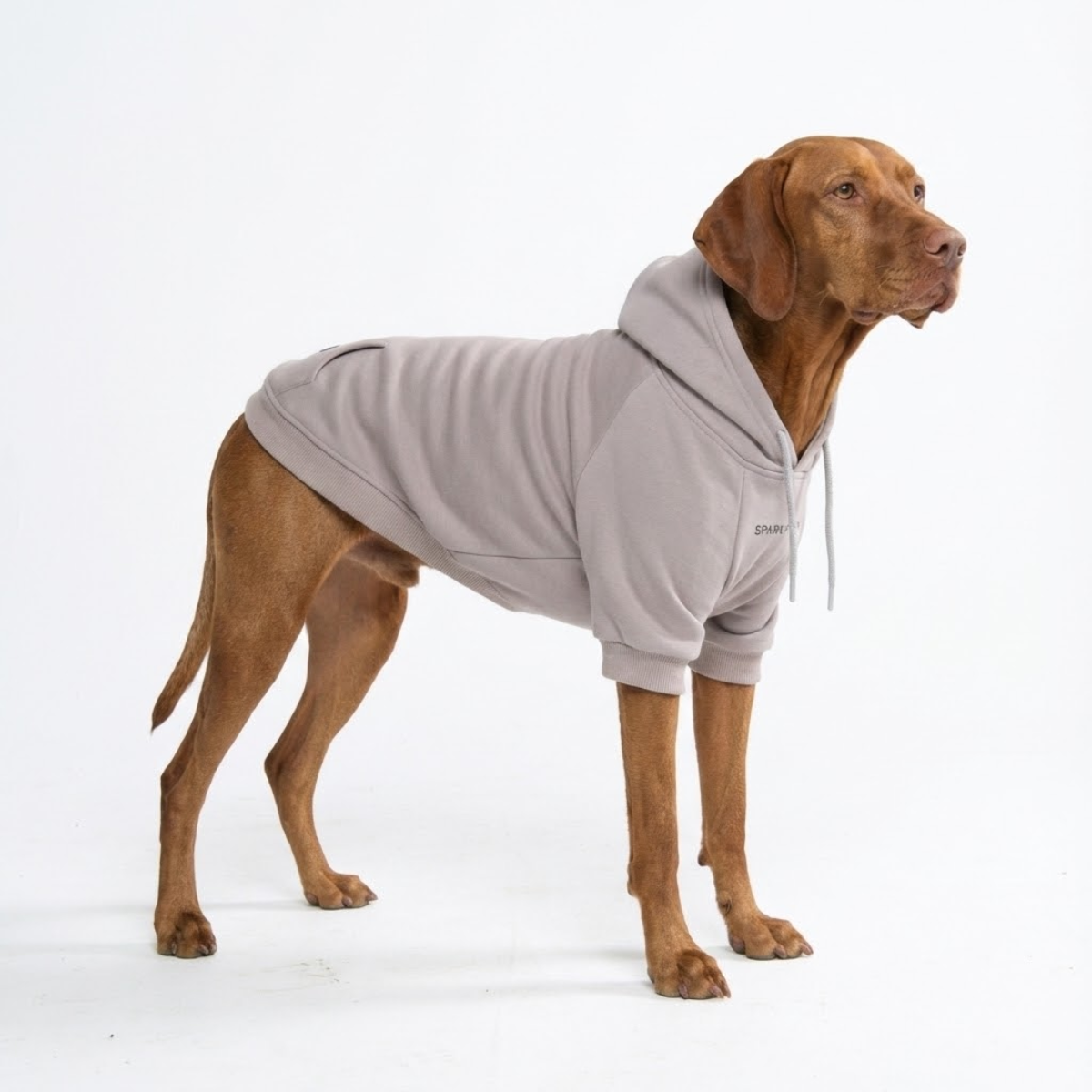 Essential Dog Hoodie - Clay - Image 6