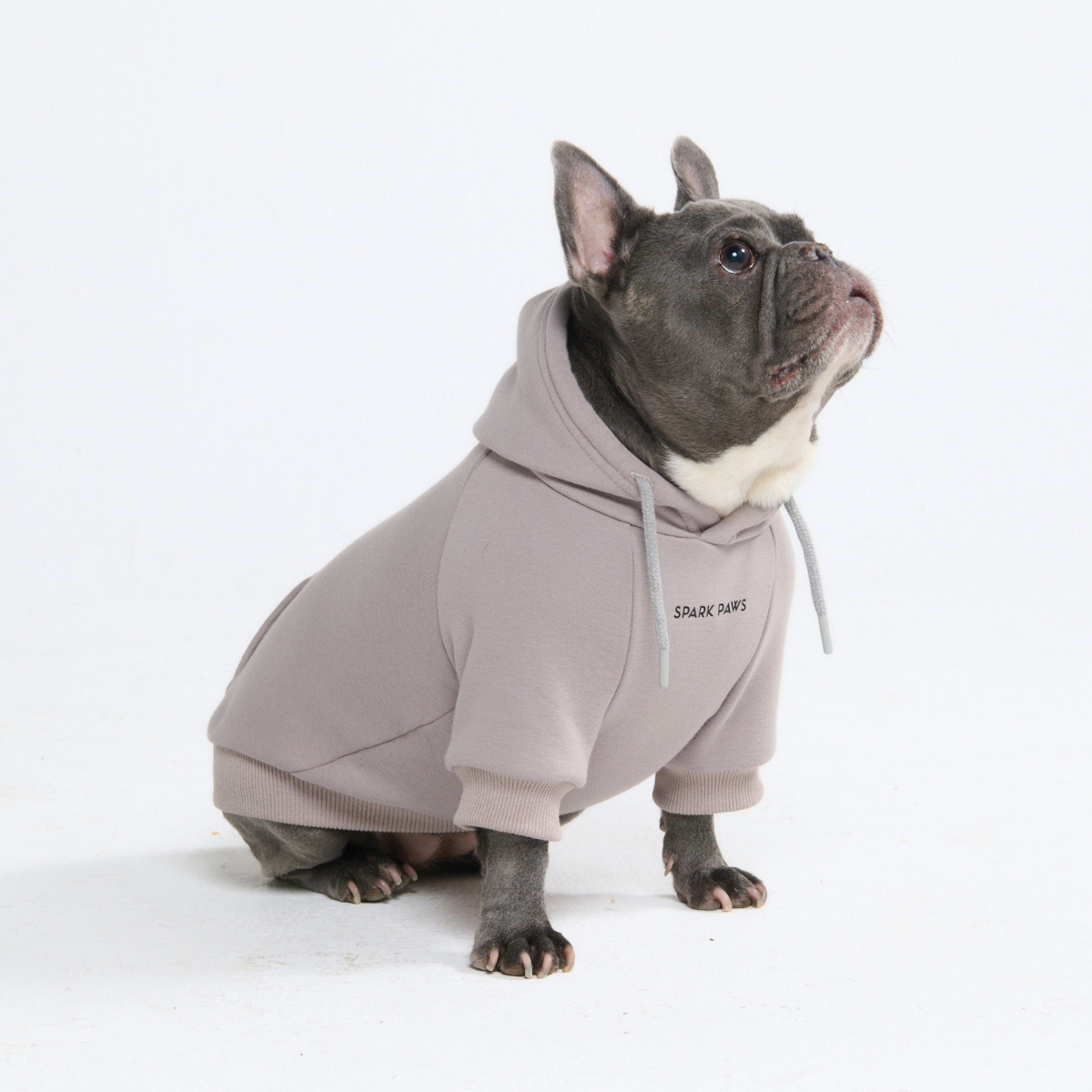 Essential Dog Hoodie - Clay - Image 2