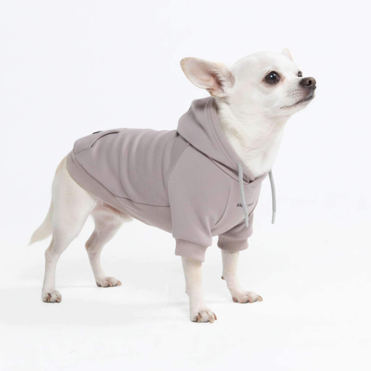 Essential Dog Hoodie - Clay - Image 3