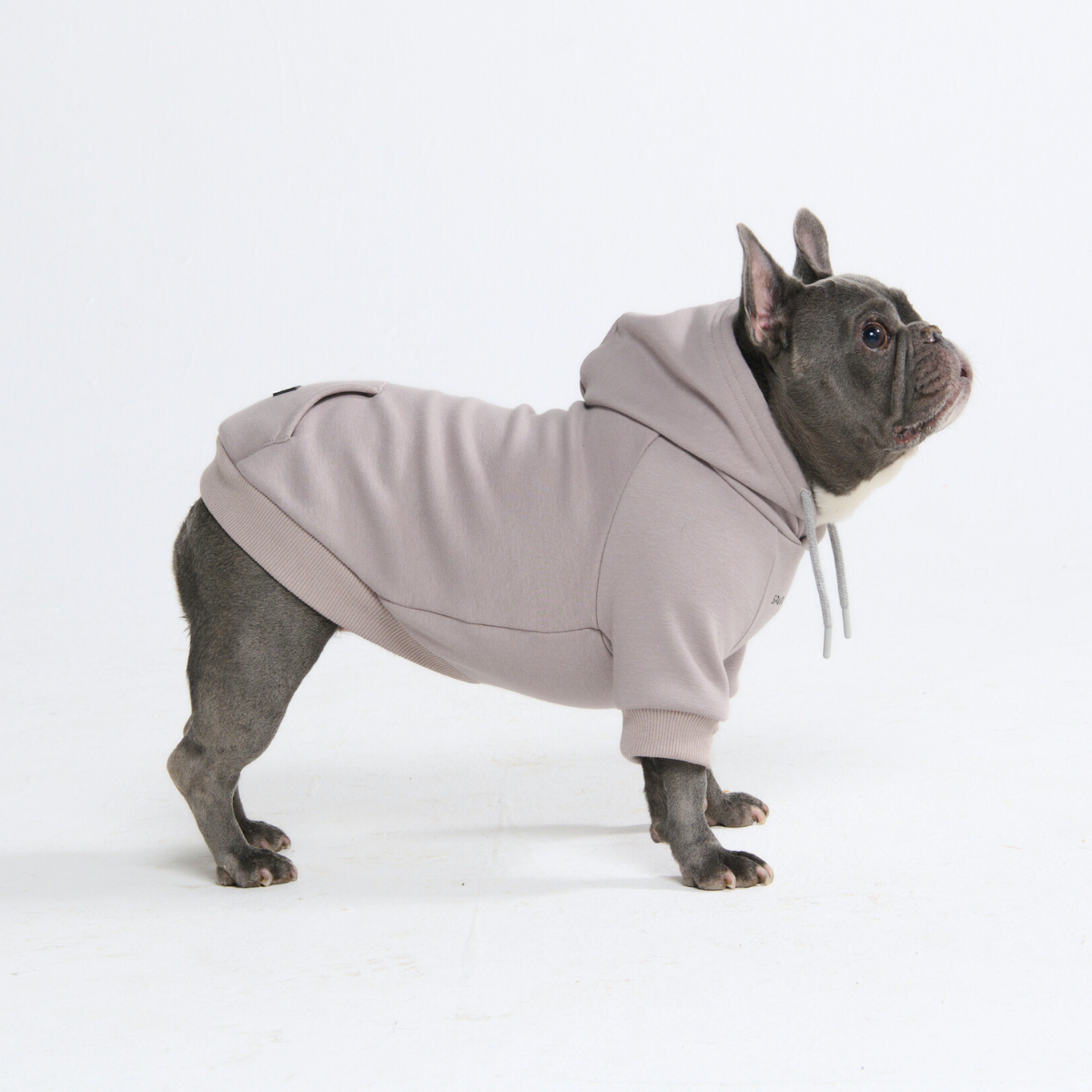 Essential Dog Hoodie - Clay - Image 10