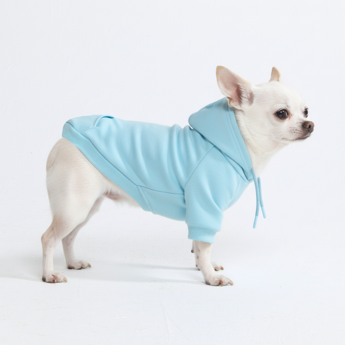 Essential Dog Hoodie - Baby Blue - Image 3