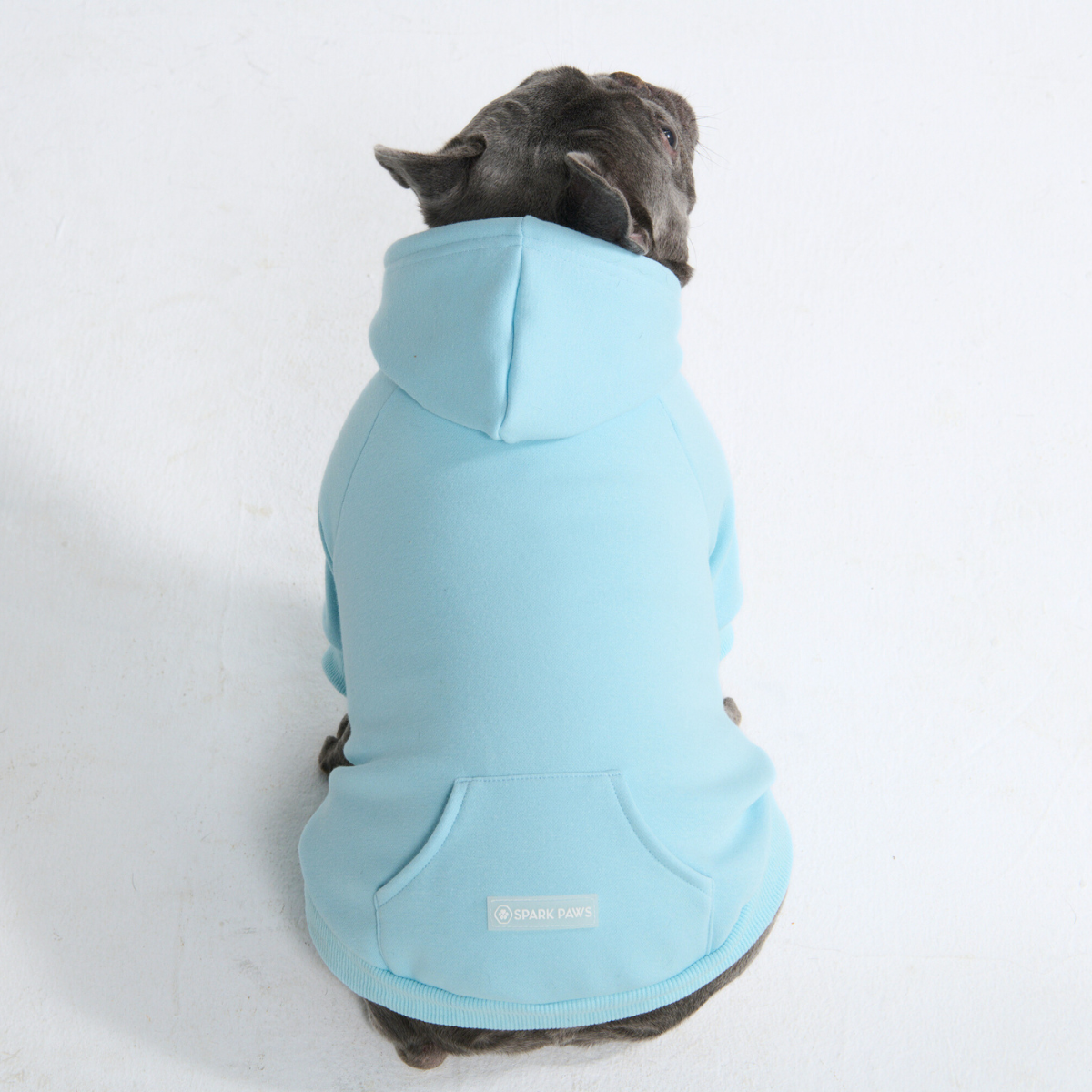 Essential Dog Hoodie - Baby Blue - Image 10