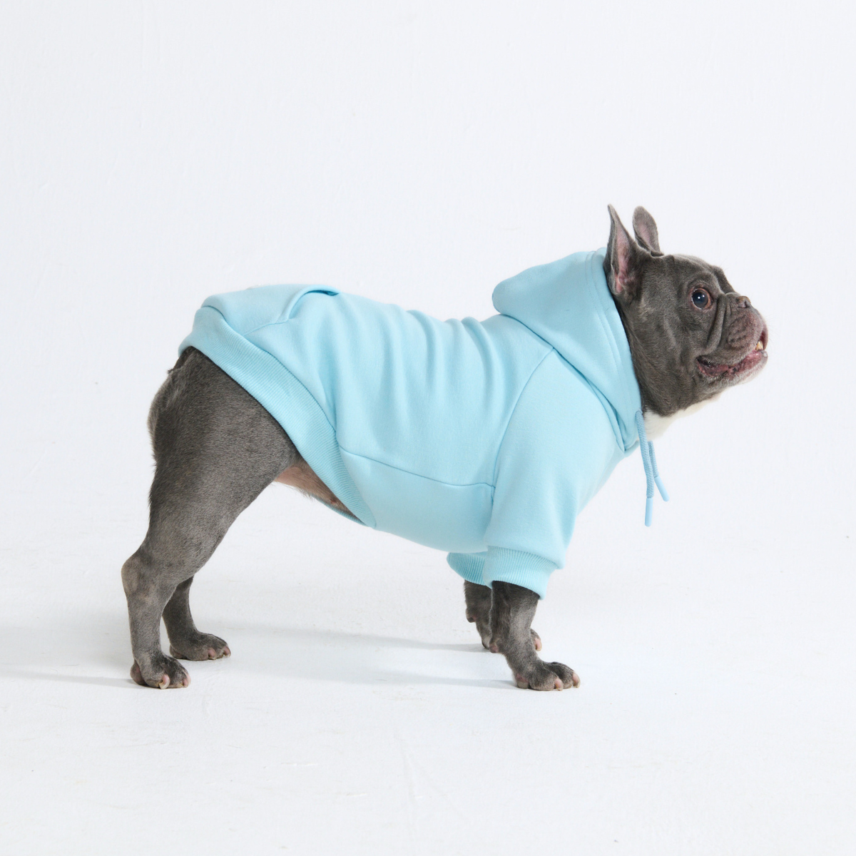 Essential Dog Hoodie - Baby Blue