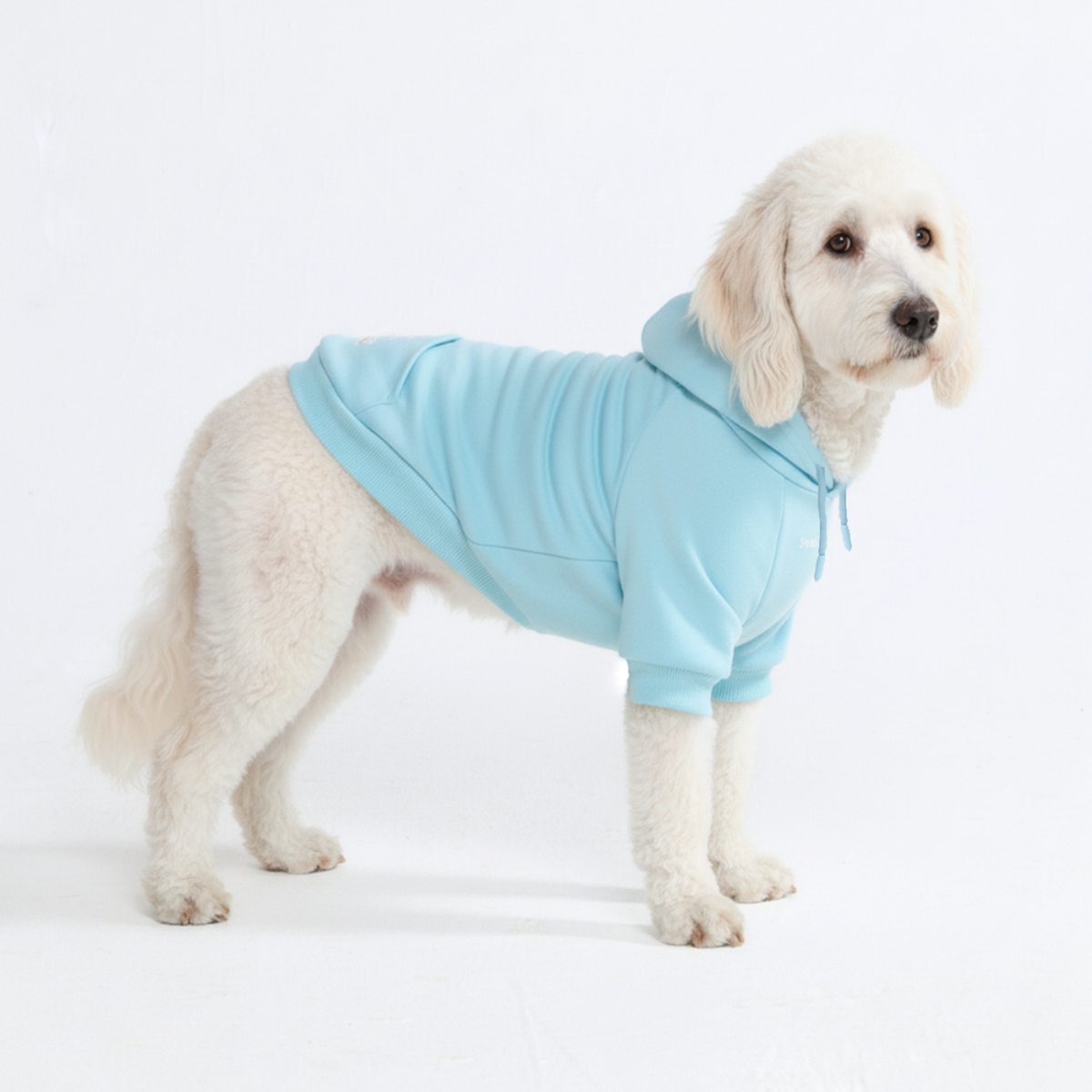 Essential Dog Hoodie - Baby Blue - Image 4