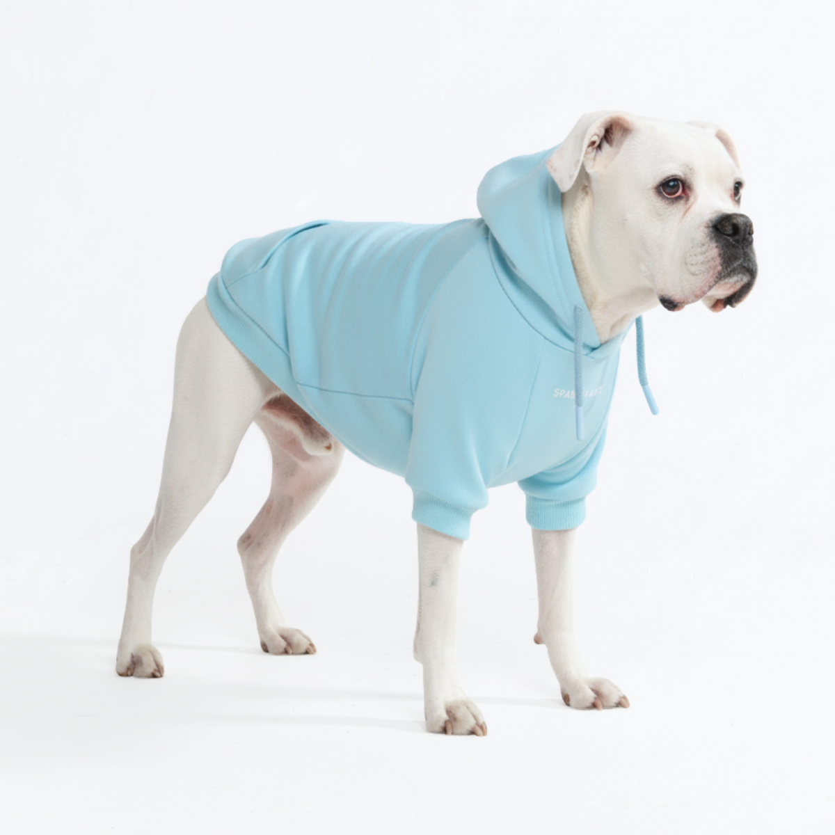 Essential Dog Hoodie - Baby Blue - Image 5