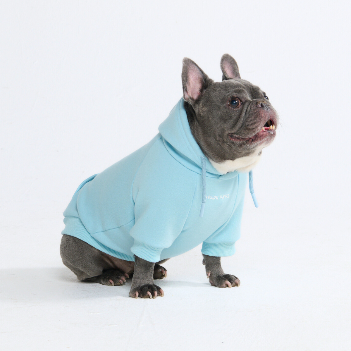 Essential Dog Hoodie - Baby Blue - Image 9