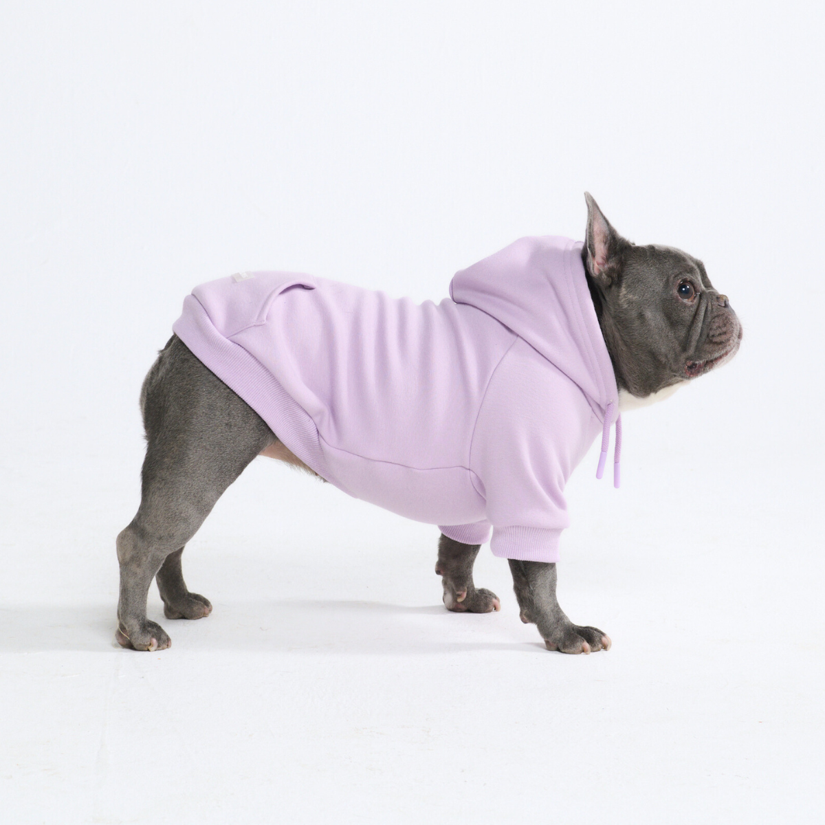 Essential Dog Hoodie - Lavender - Image 3