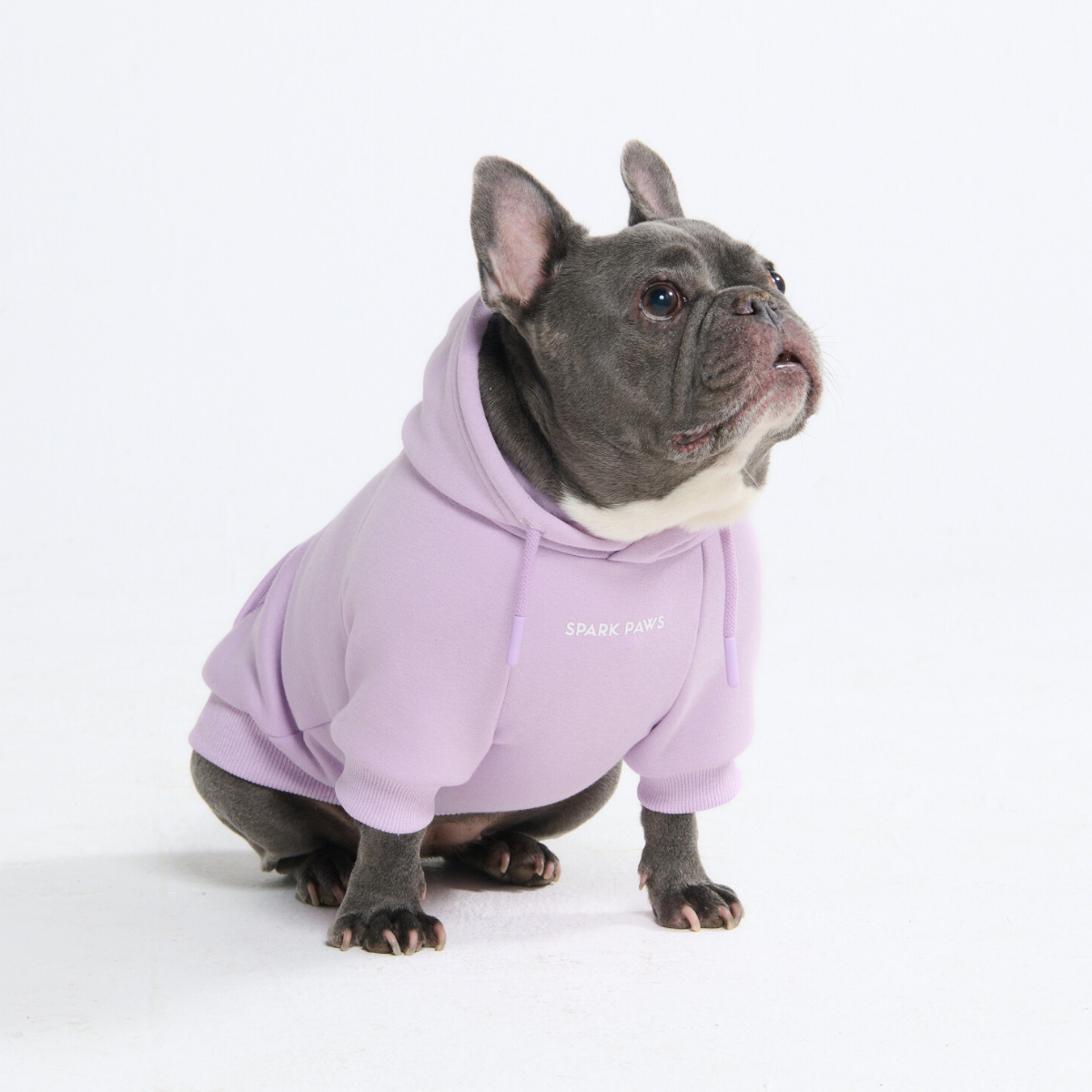 Essential Dog Hoodies - Image 21