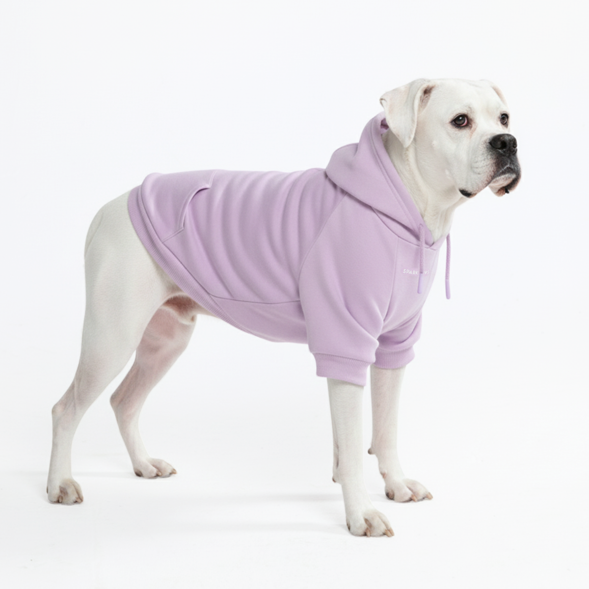 Essential Dog Hoodie - Lavender - Image 2