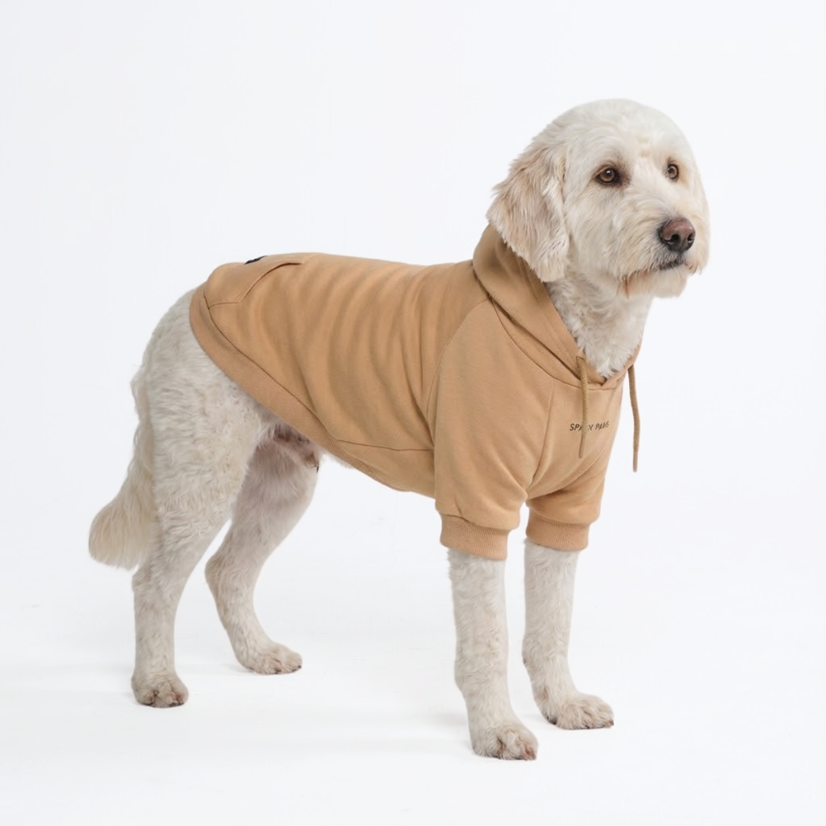 Essential Dog Hoodie - Caramel - Image 5