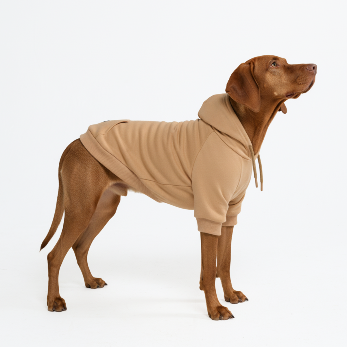 Essential Dog Hoodie - Caramel - Image 2