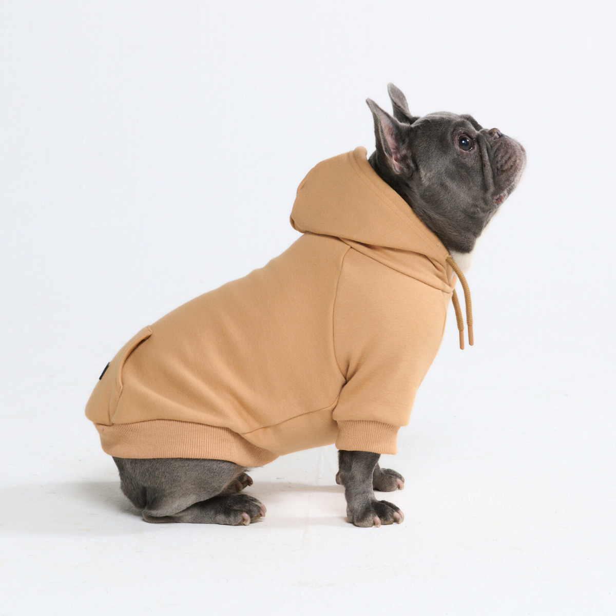 Essential Dog Hoodie - Caramel - Image 4
