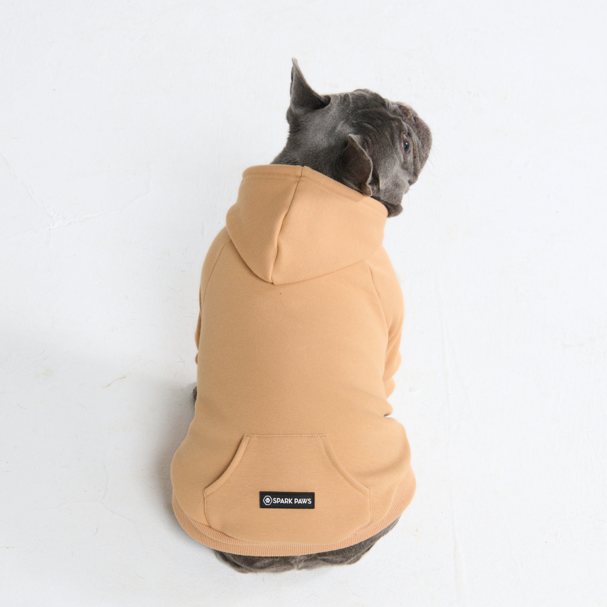Essential Dog Hoodie - Caramel - Image 9