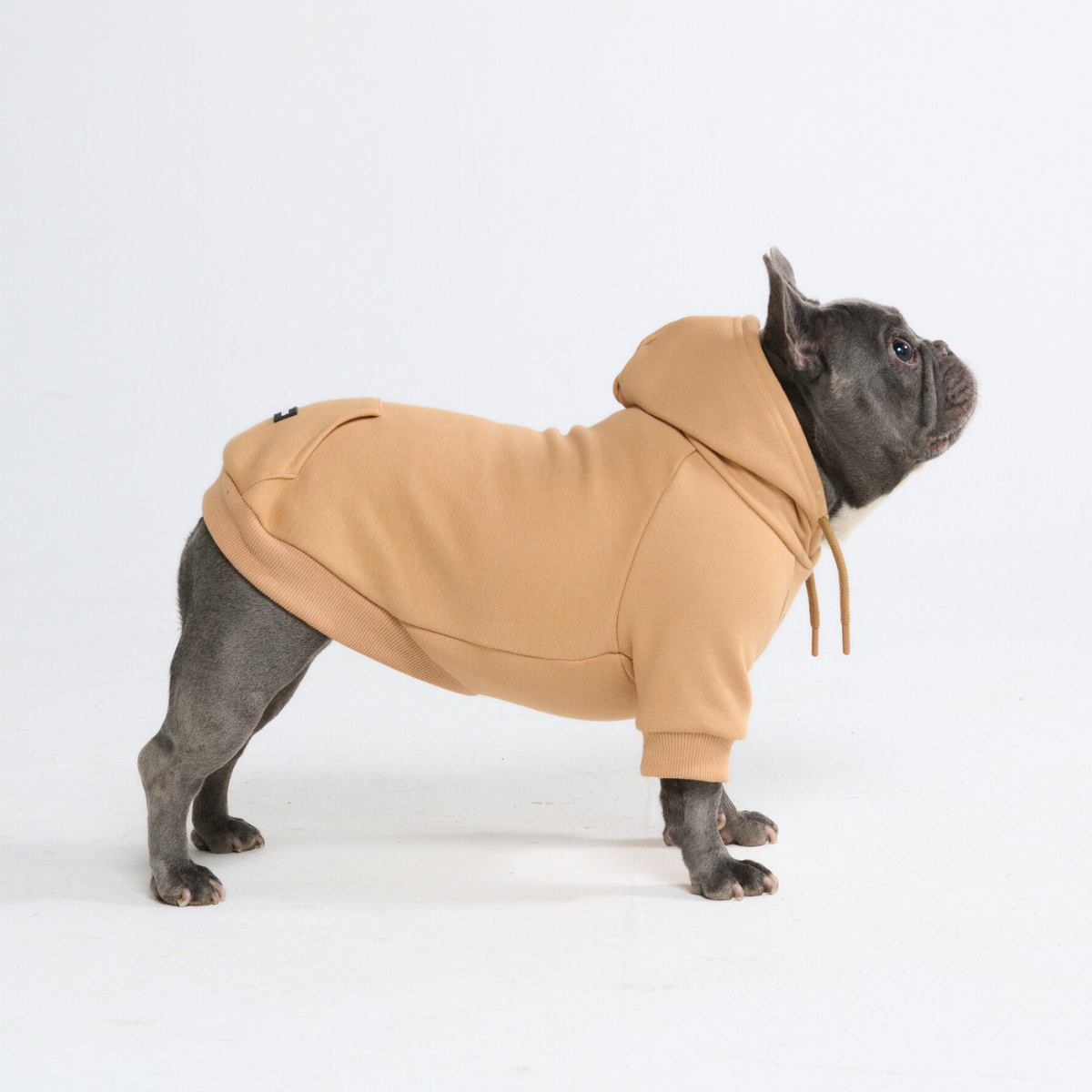 Essential Dog Hoodie - Caramel - Image 10