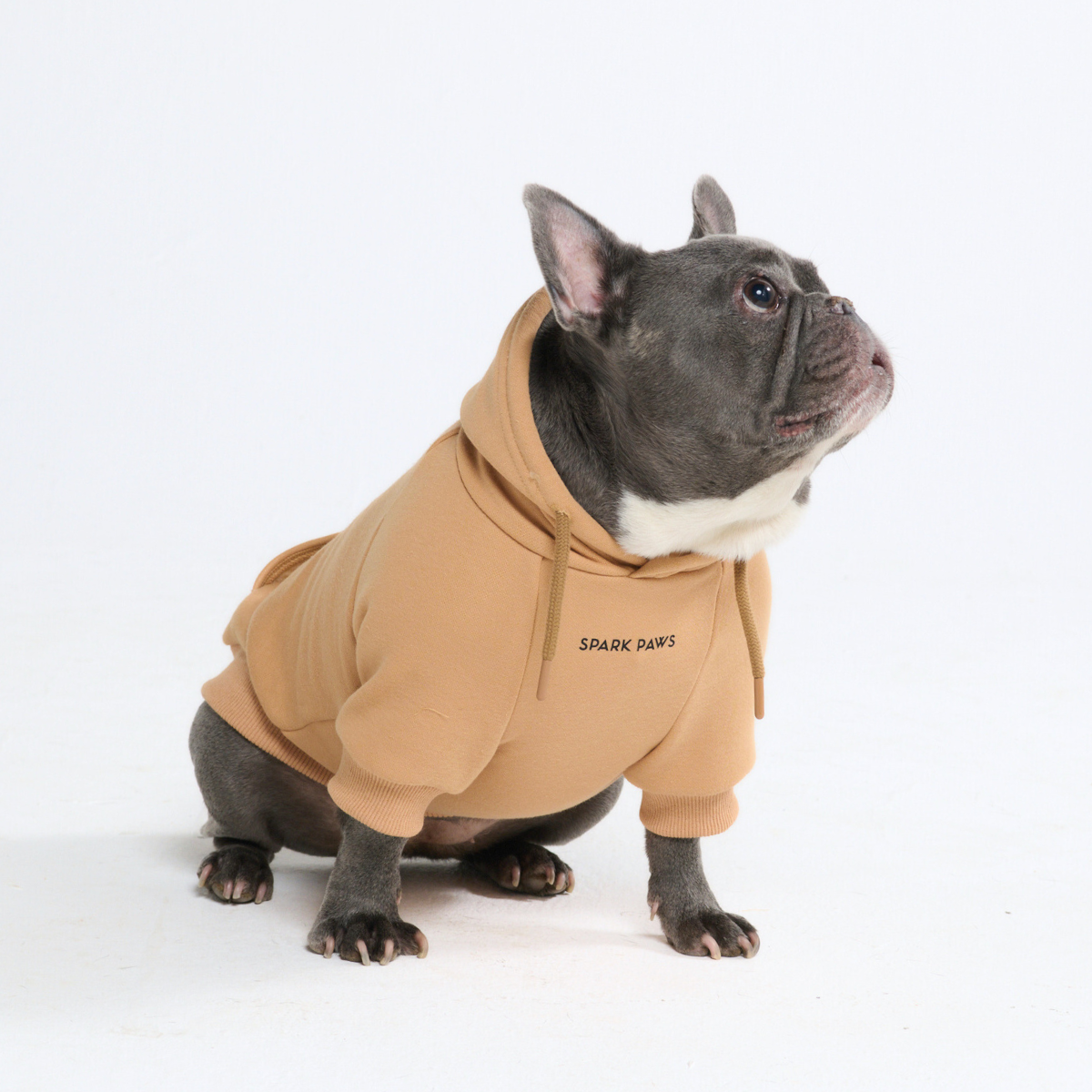 Essential Dog Hoodie - Caramel - Image 11