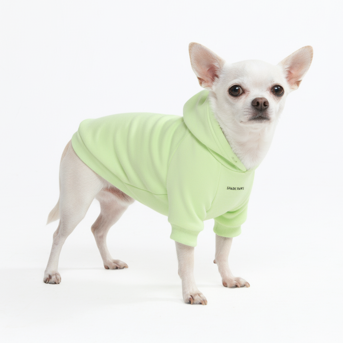 Essential Dog Hoodie - Honey Dew - Image 2