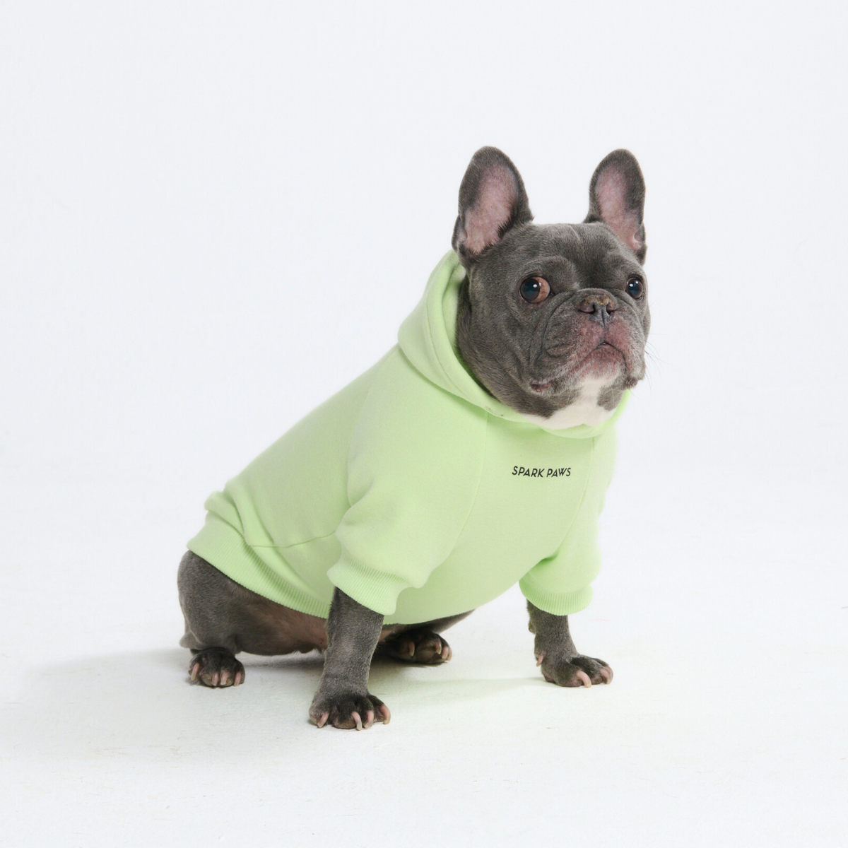 Essential Dog Hoodie - Honey Dew - Image 10