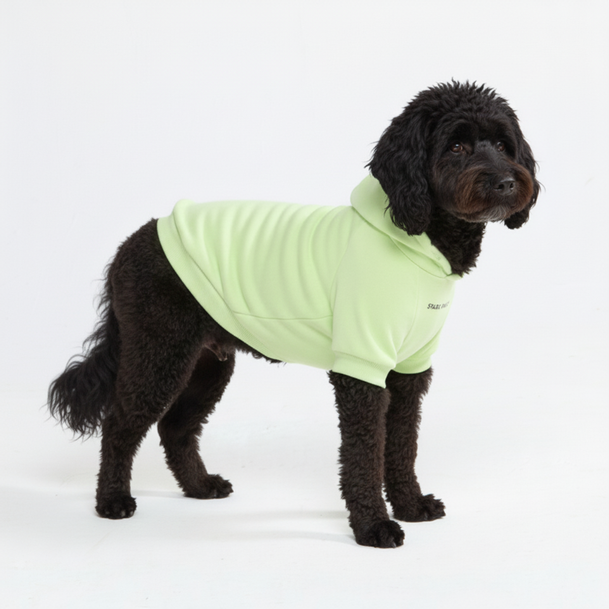 Essential Dog Hoodie - Honey Dew - Image 4