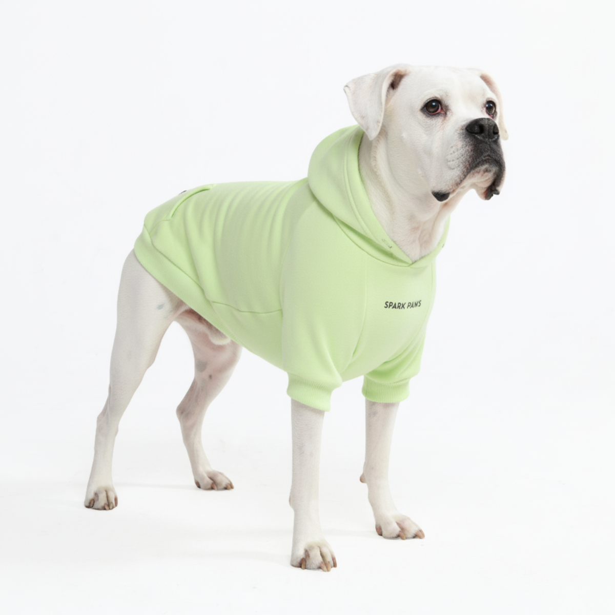 Essential Dog Hoodie - Honey Dew - Image 5