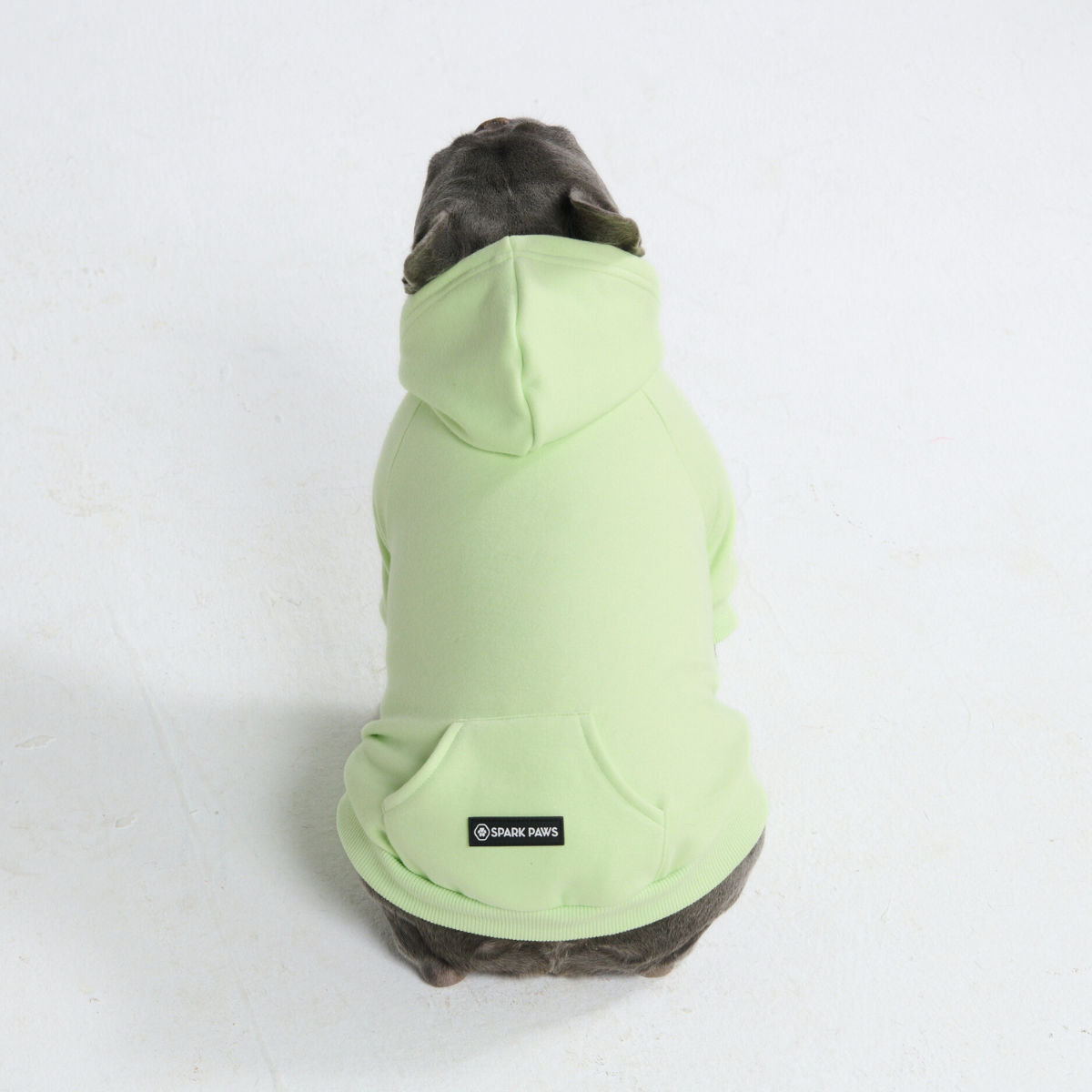 Essential Dog Hoodie - Honey Dew - Image 9