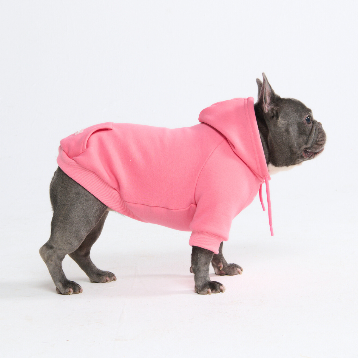 Essential Dog Hoodie - Blush Pink - Image 4