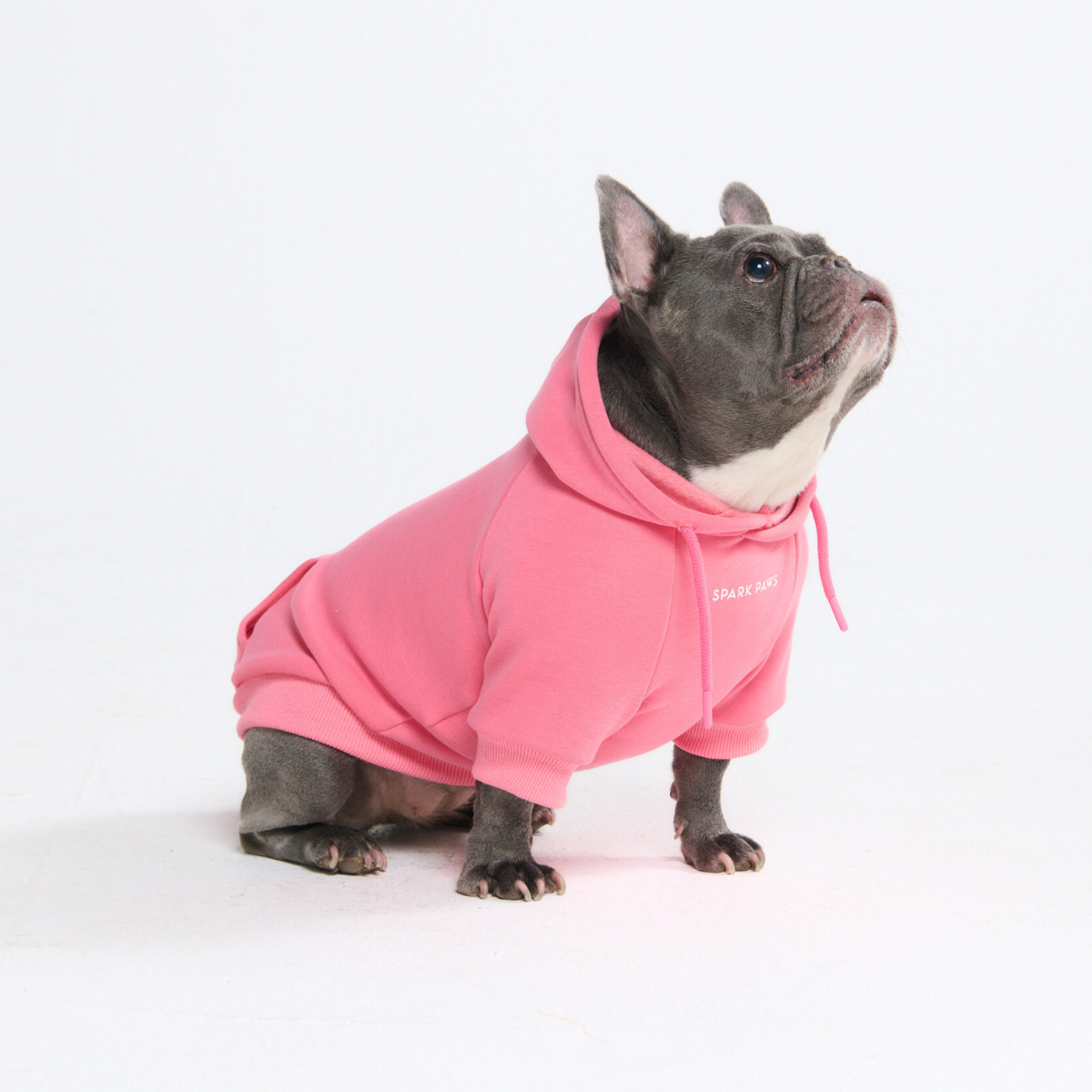 Essential Dog Hoodie - Blush Pink - Image 9