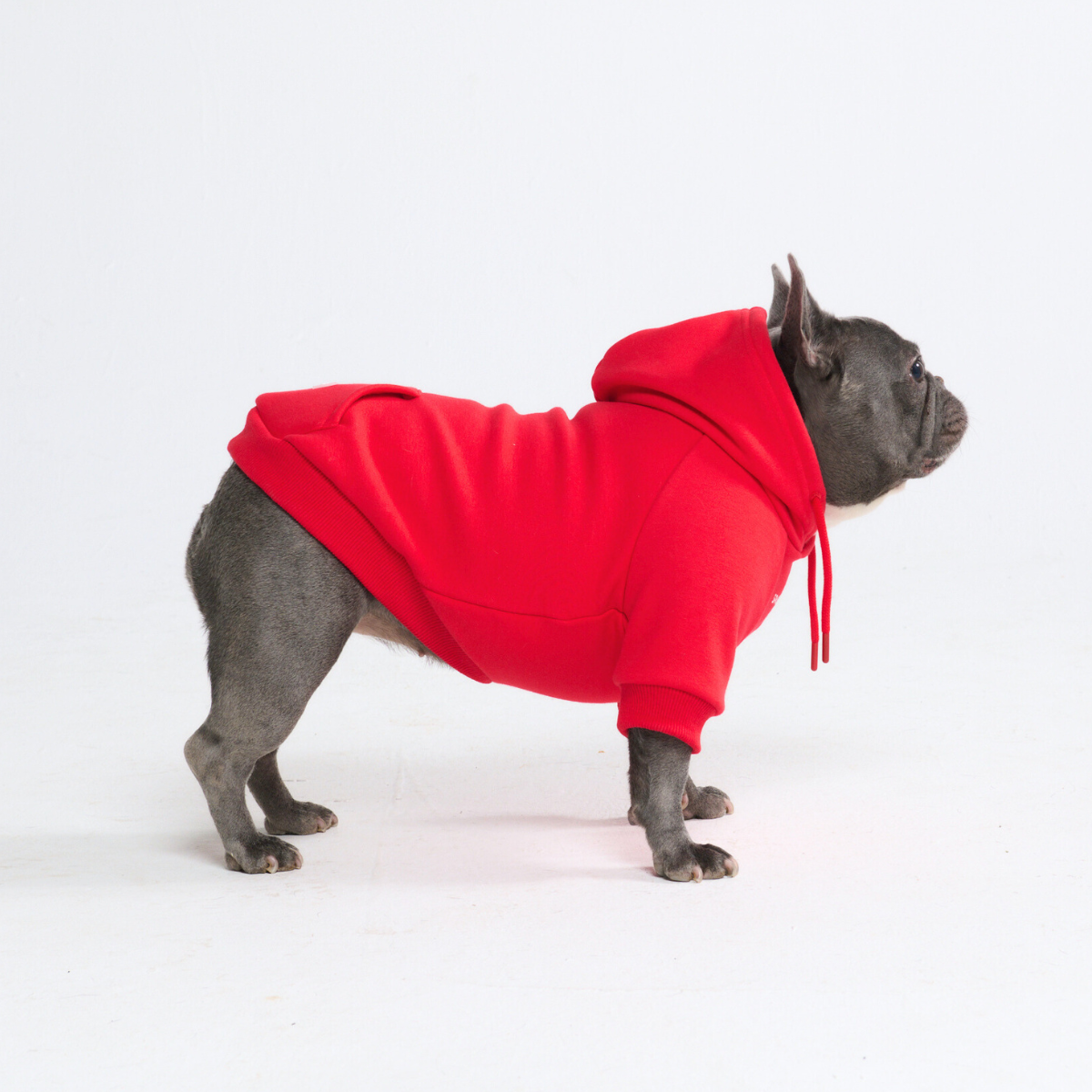 Essential Dog Hoodie - Crimson Red - Image 3