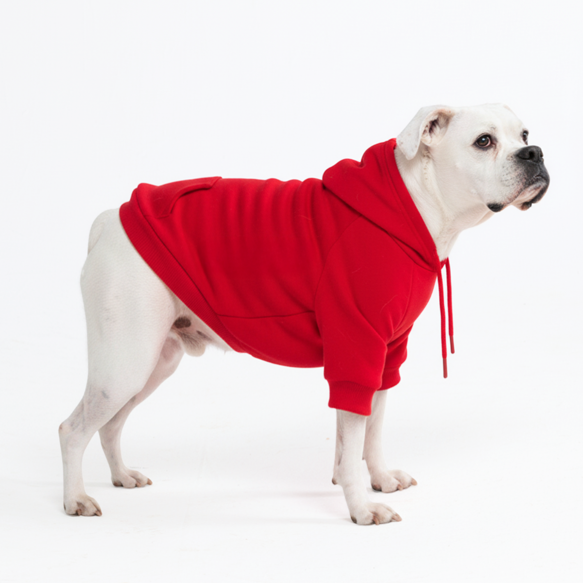 Essential Dog Hoodie - Crimson Red - Image 5