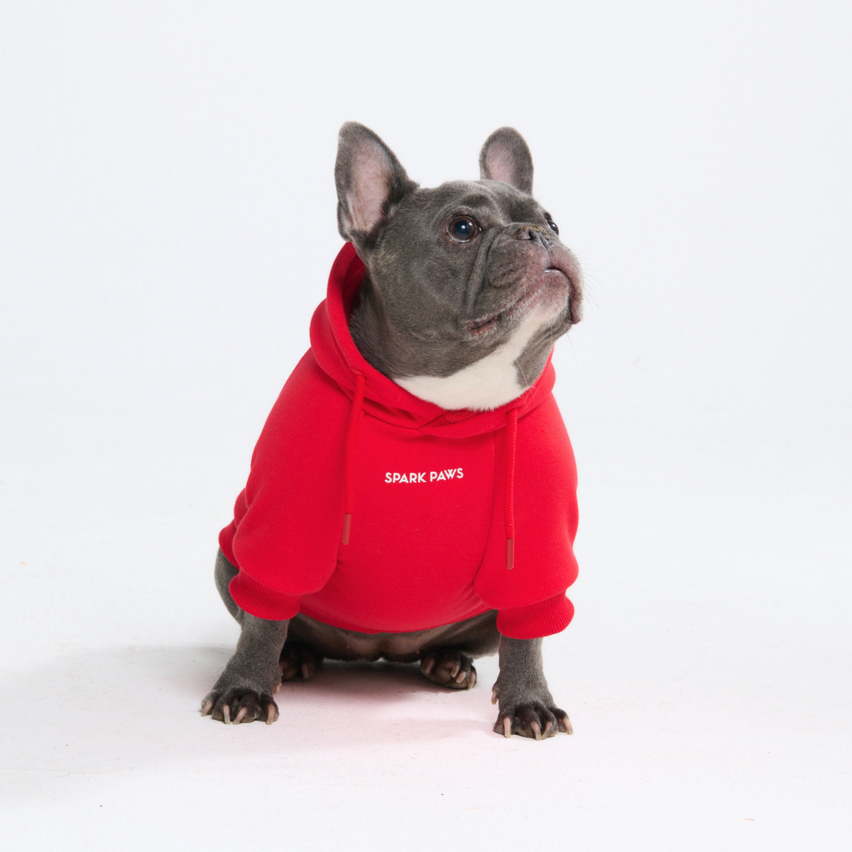 Essential Dog Hoodie - Crimson Red - Image 9