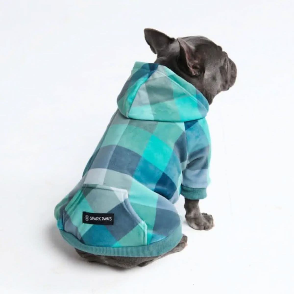 Velvet Dog Hoodie - Turquoise Checkered - Image 3