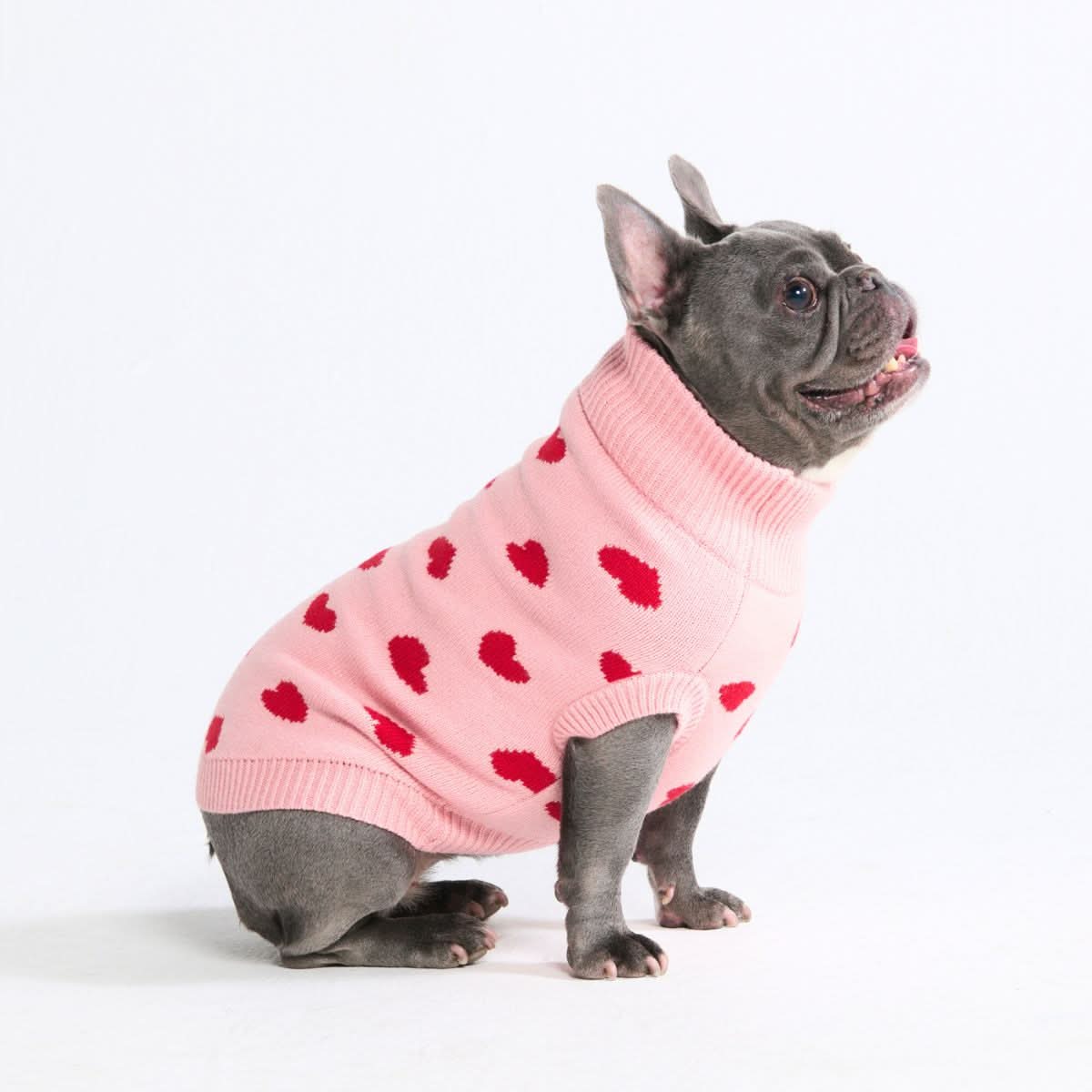 Hearts Knit Dog Sweater - Image 10