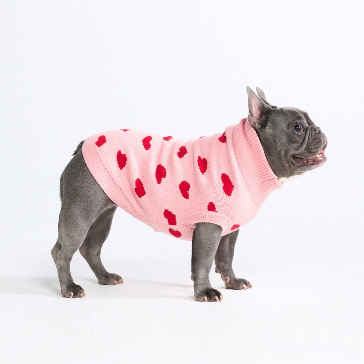 Hearts Knit Dog Sweater - Image 8