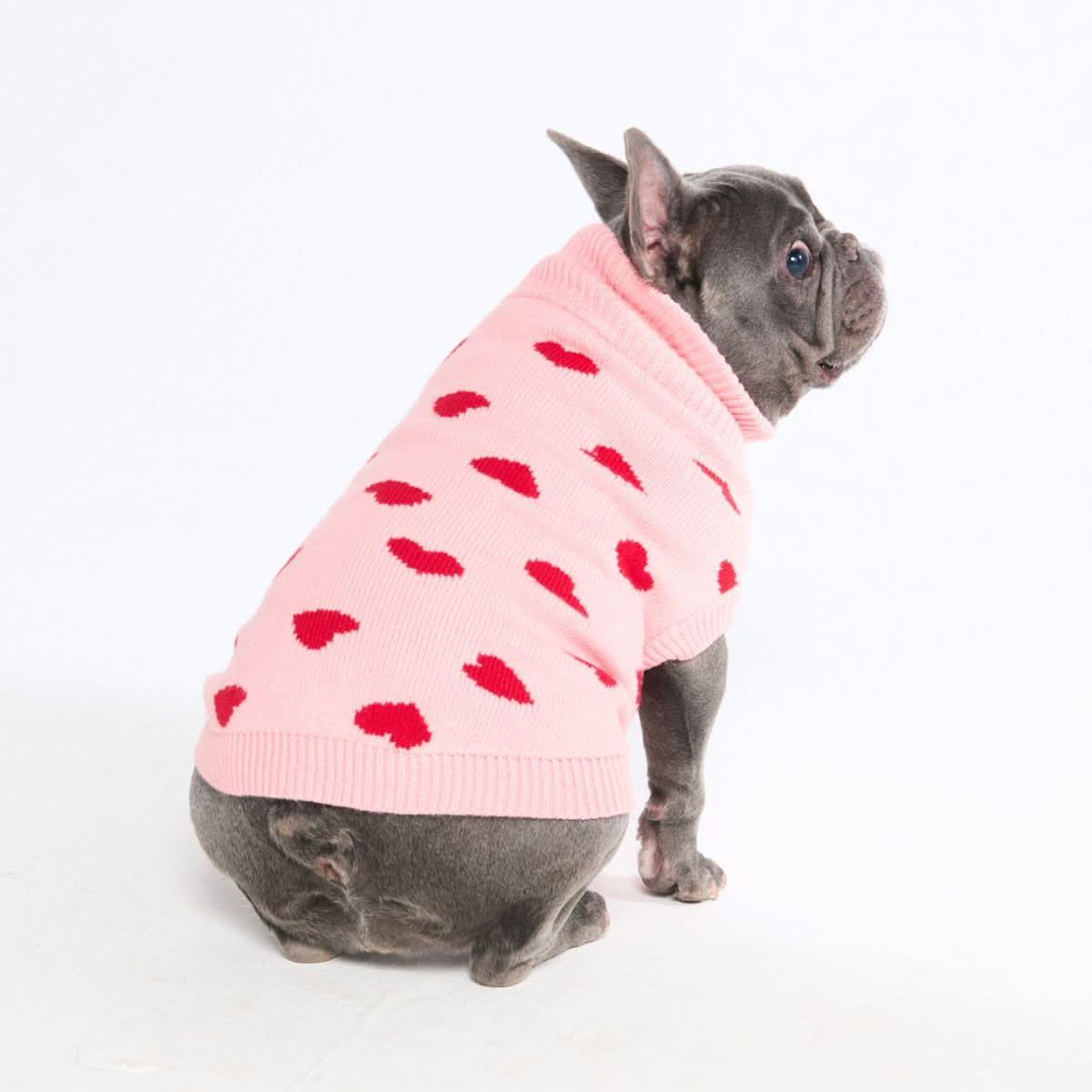 Hearts Knit Dog Sweater - Image 9