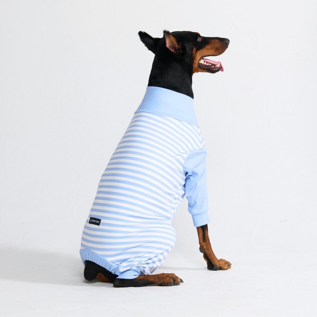 Dog Pajama - Blue Stripes - Image 2